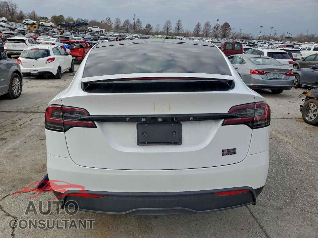 TESLA MODEL X 2024 - 7SAXCBE62RF438633