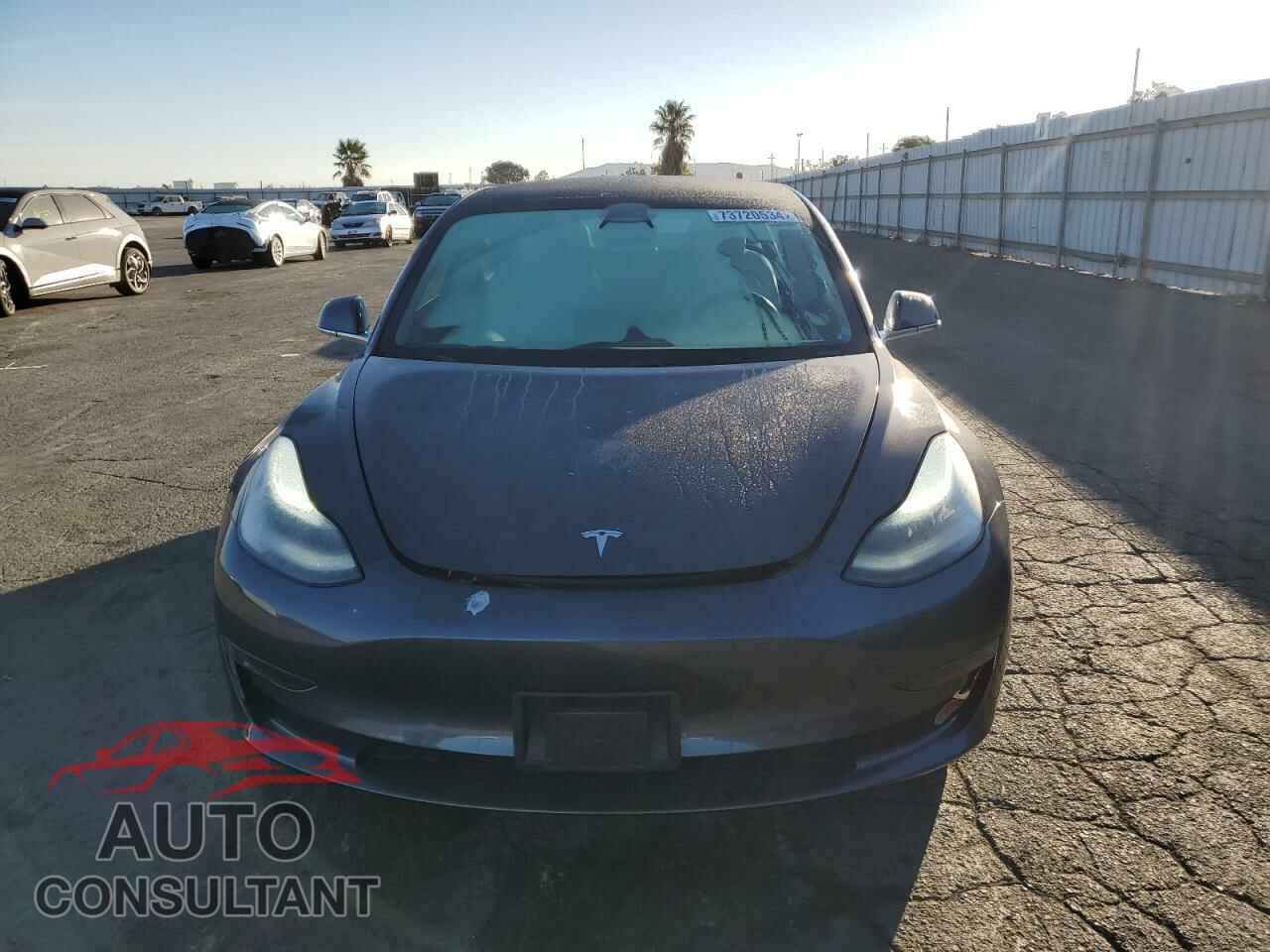 TESLA MODEL 3 2019 - 5YJ3E1EB2KF450803