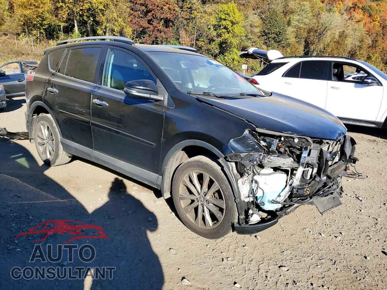 TOYOTA RAV4 2016 - 2T3DFREV4GW443489