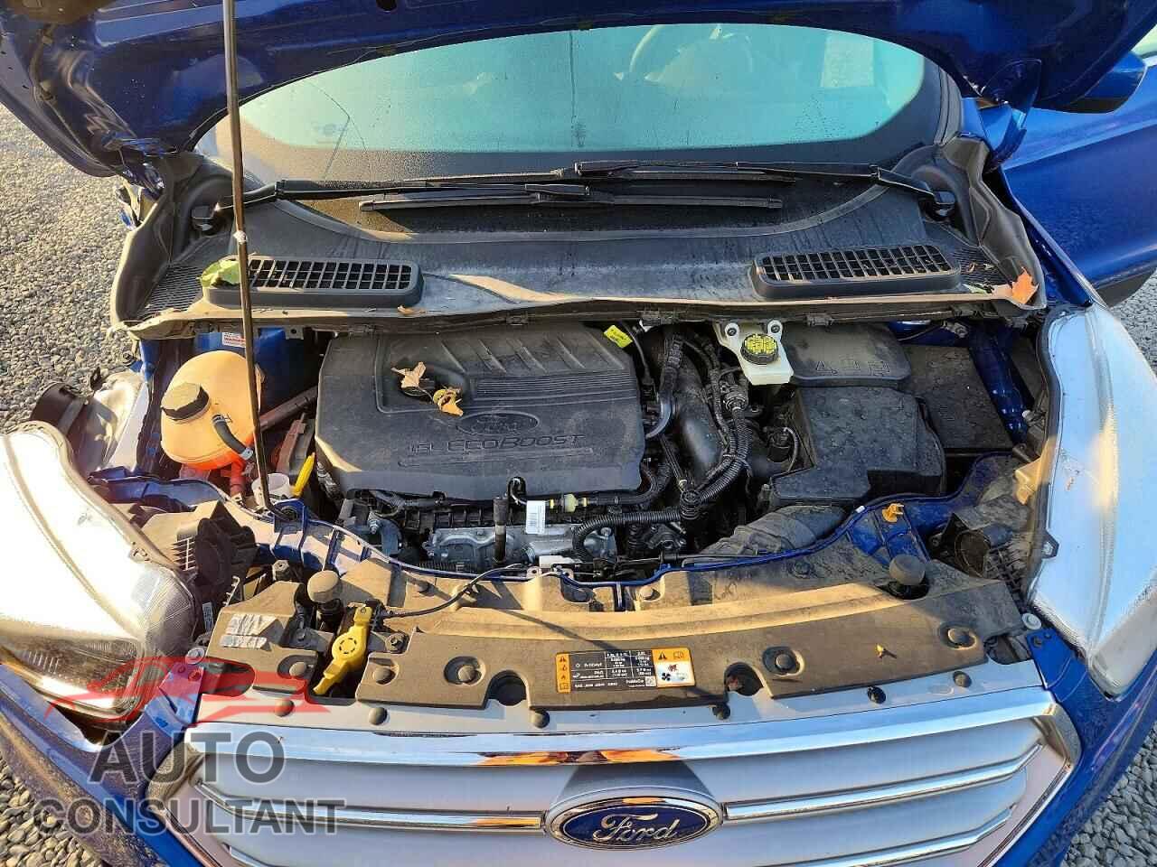 FORD ESCAPE 2017 - 1FMCU9GD4HUE97911