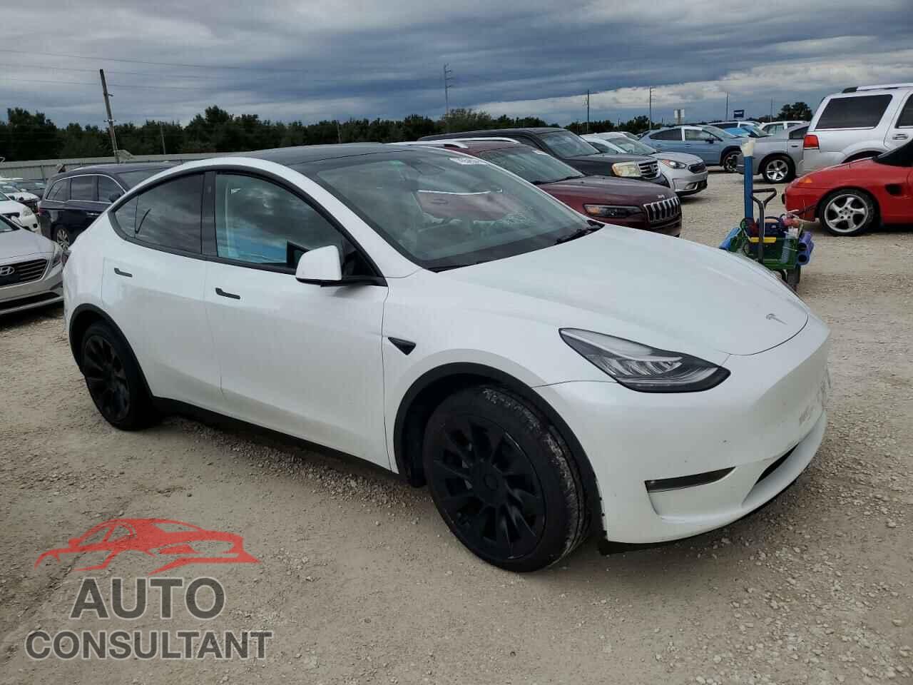 TESLA MODEL Y 2022 - 7SAYGDEE9NF460196