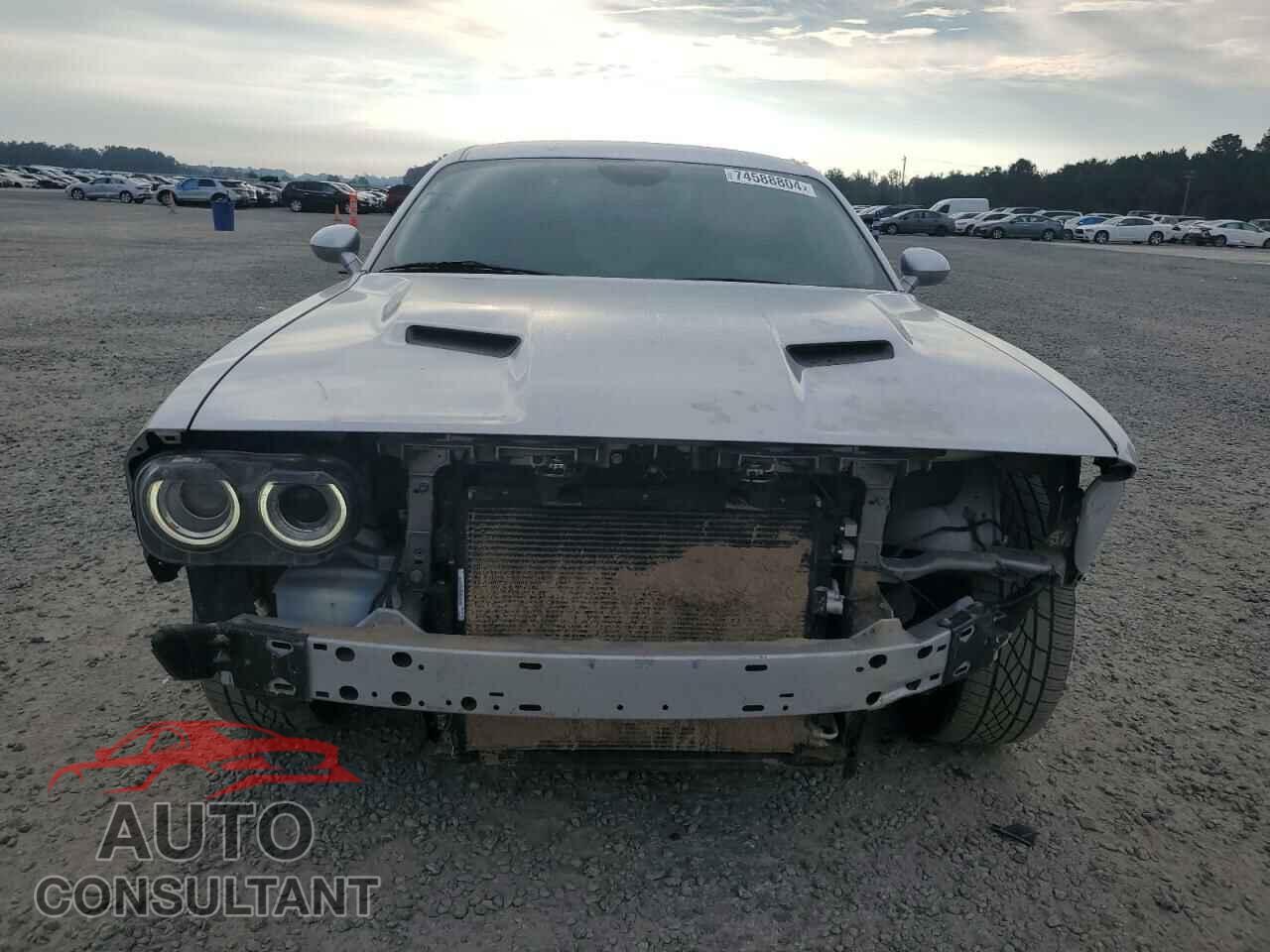 DODGE CHALLENGER 2019 - 2C3CDZAG0KH716787
