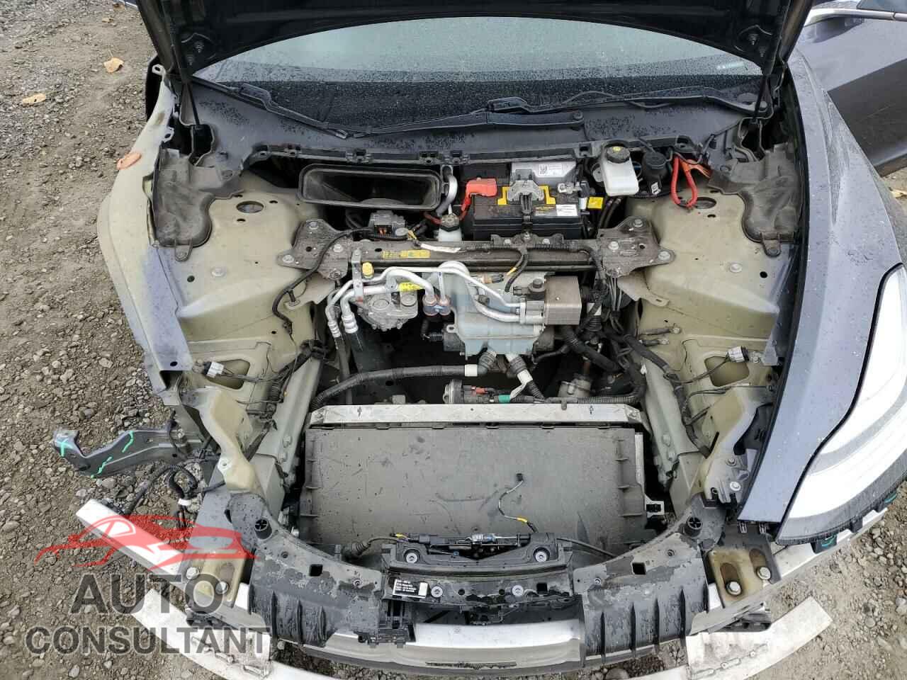 TESLA MODEL 3 2019 - 5YJ3E1EA0KF302379
