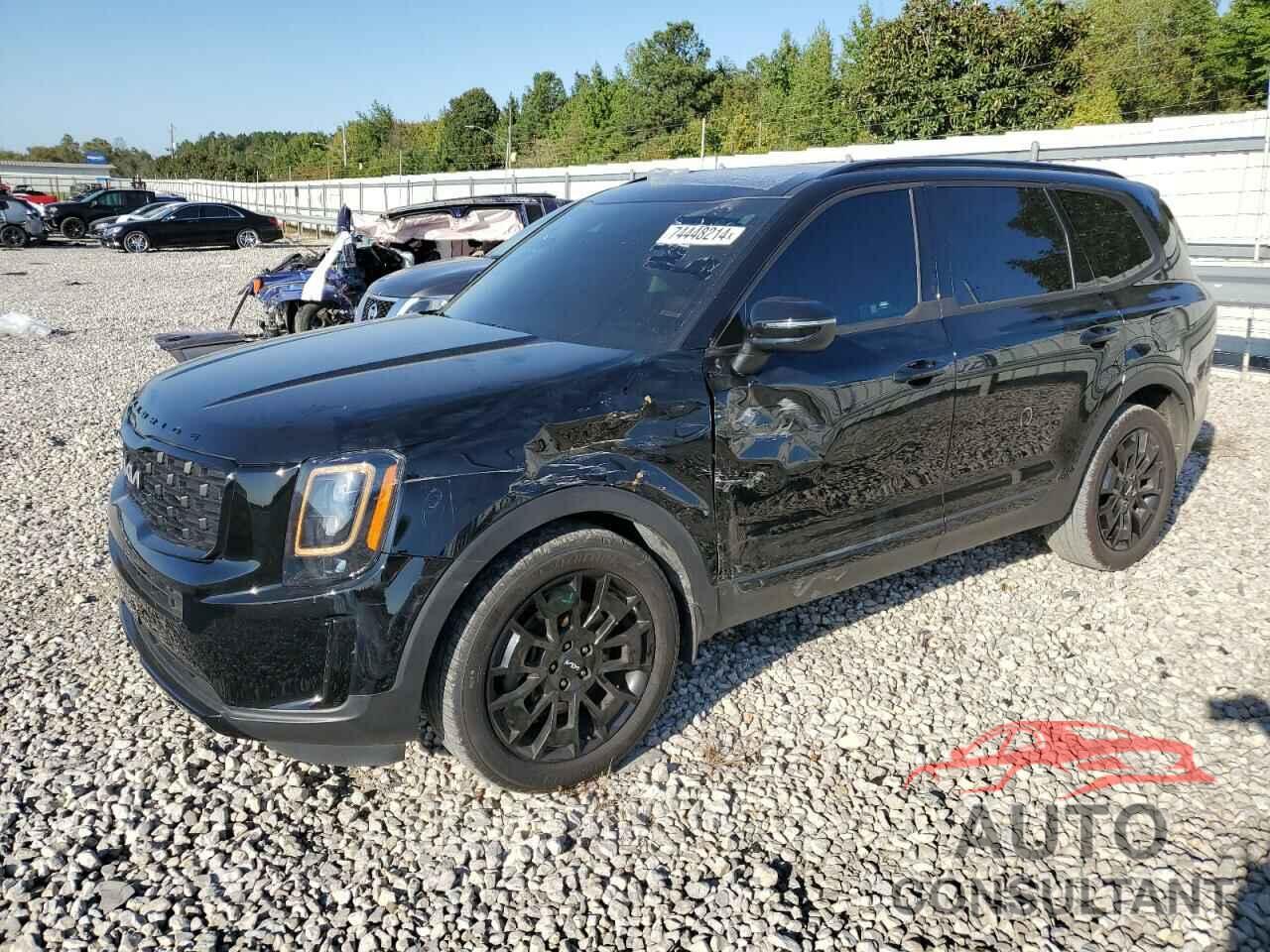 KIA TELLURIDE 2022 - 5XYP3DHC2NG257822