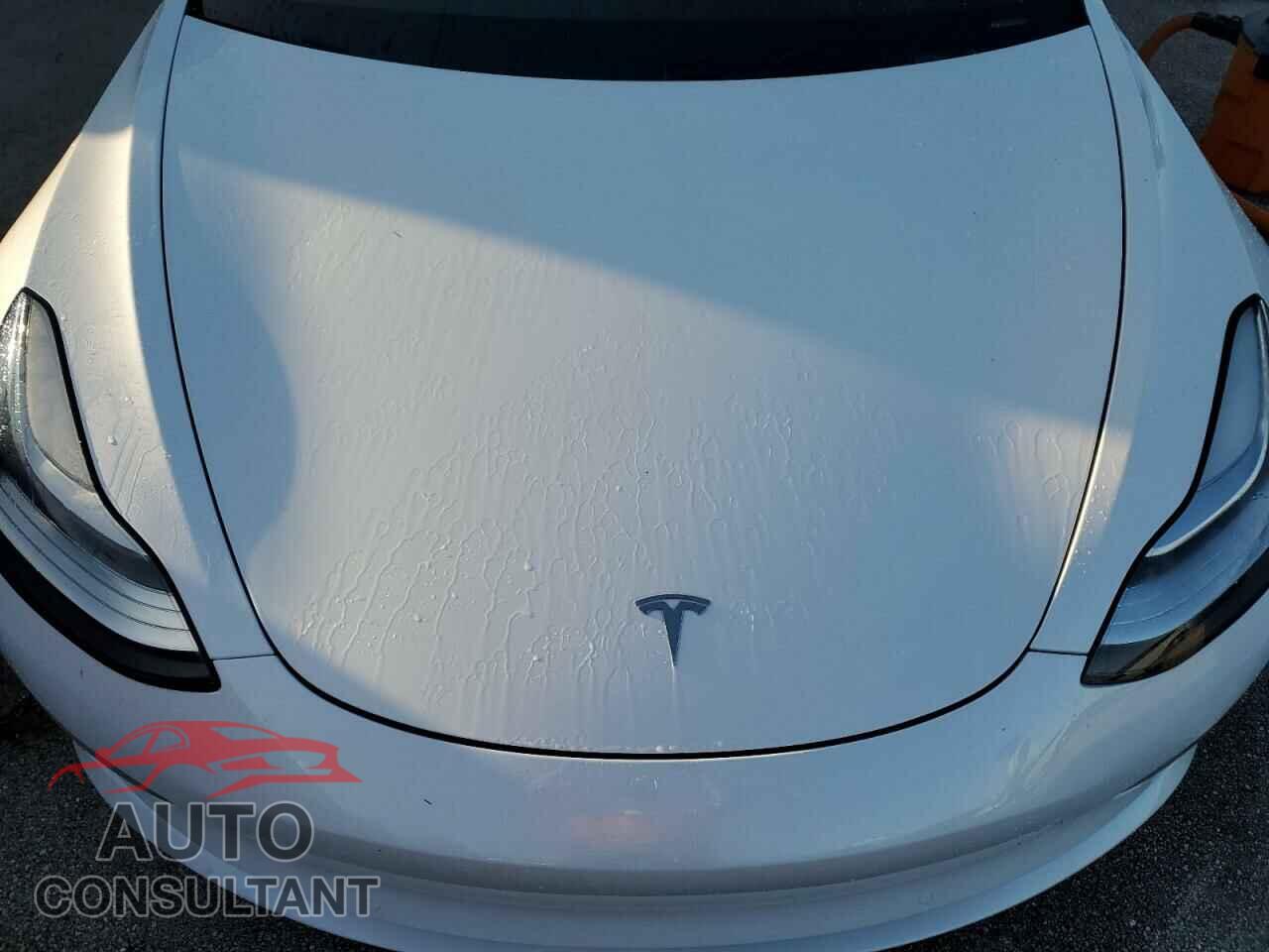 TESLA MODEL 3 2019 - 5YJ3E1EA3KF411998