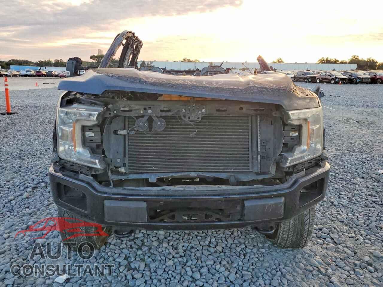 FORD F-150 2019 - 1FTEW1E55KFA08531