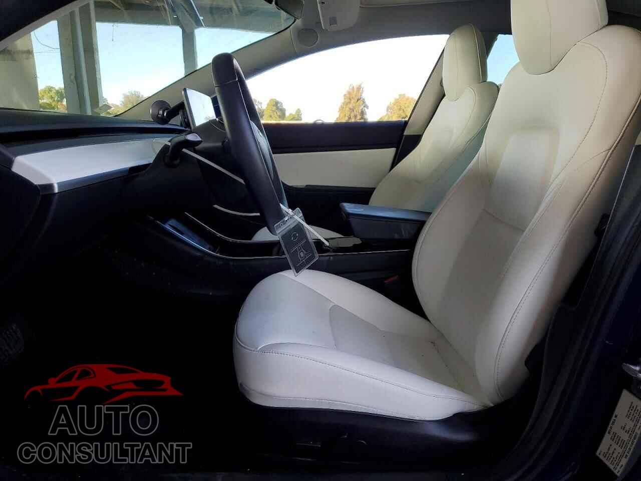 TESLA MODEL 3 2019 - 5YJ3E1EA2KF402872