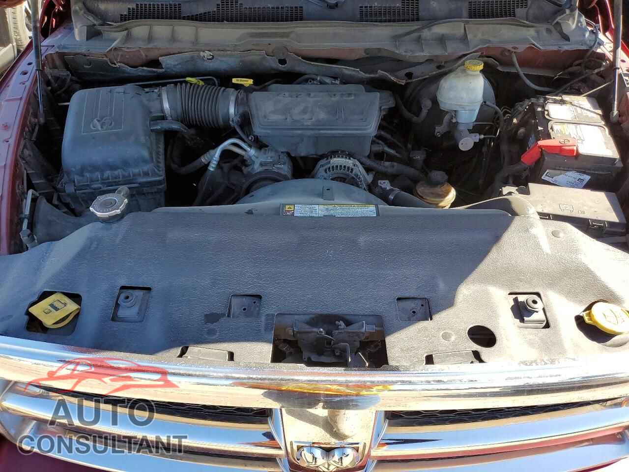 DODGE All Models 2011 - 1D7RB1GP5BS541455