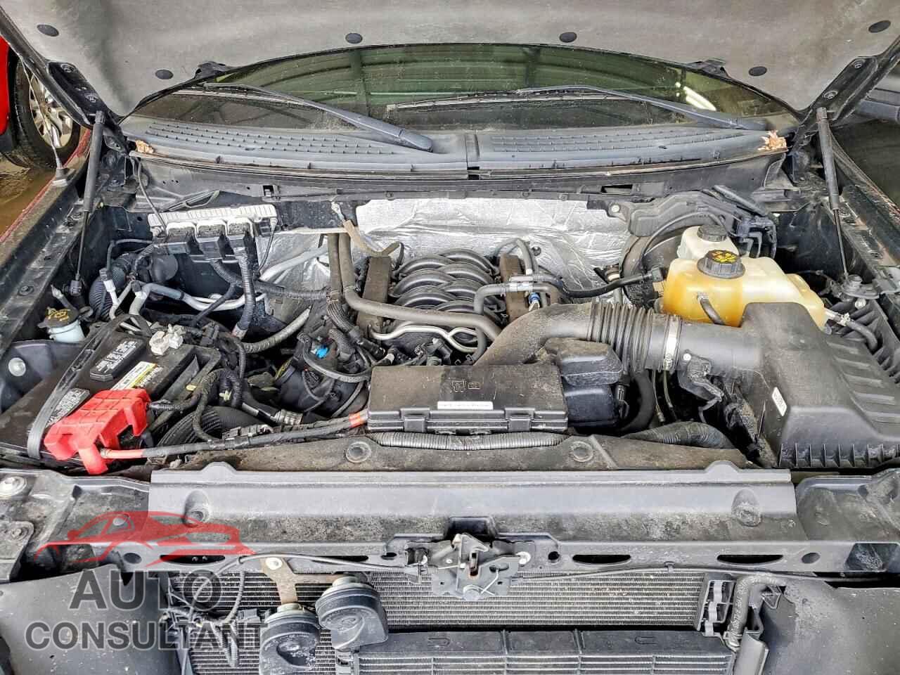 FORD F150 2013 - 1FTFW1EF7DFD99570