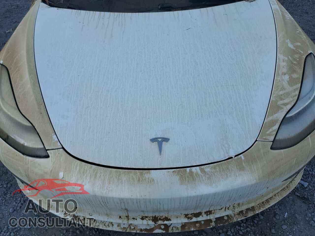 TESLA MODEL 3 2018 - 5YJ3E1EA7JF044523
