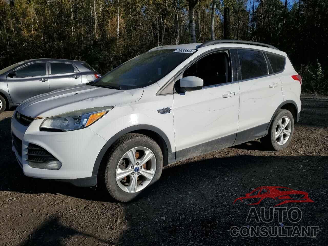 FORD ESCAPE 2014 - 1FMCU9GX9EUD33625