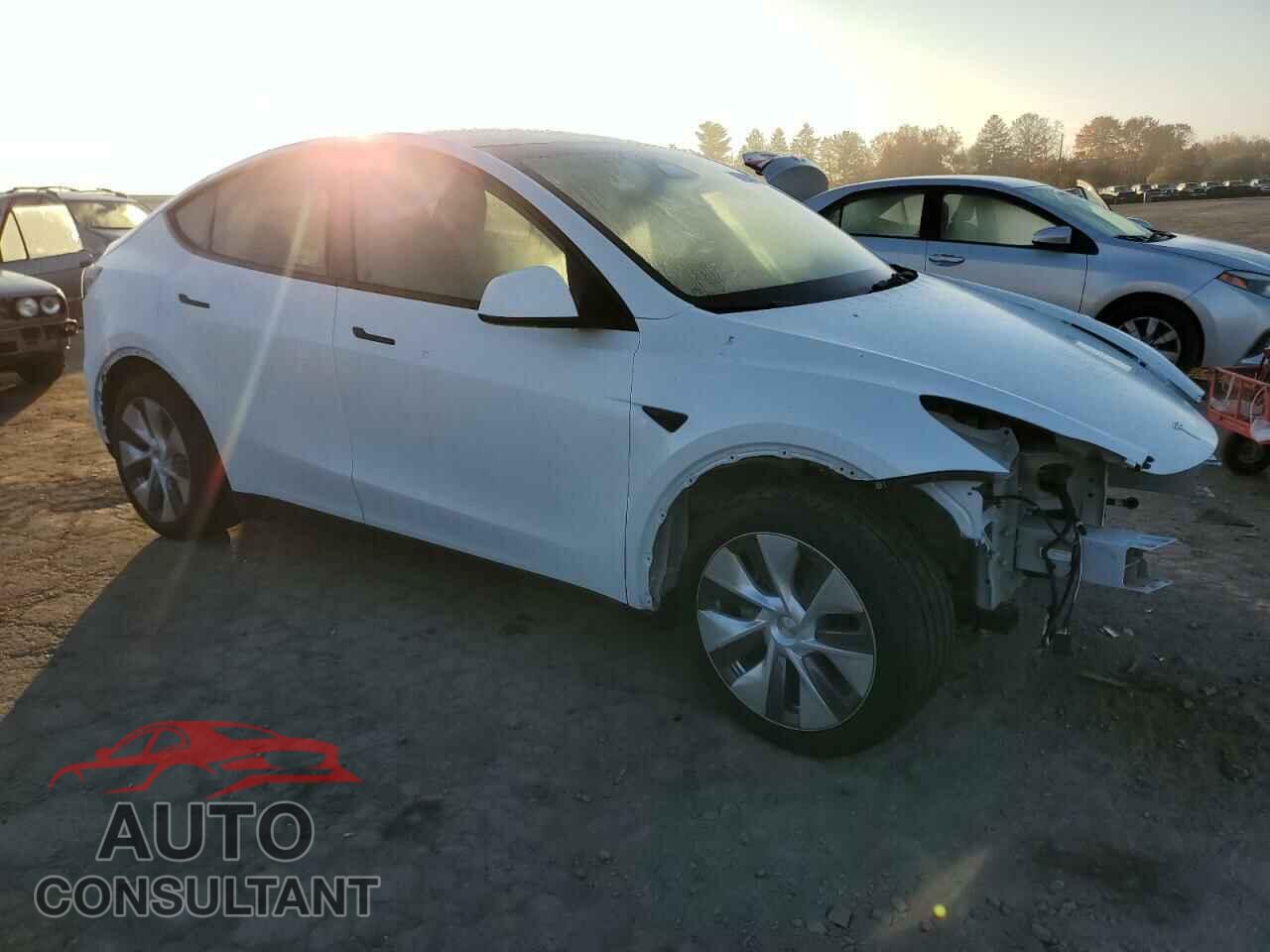 TESLA MODEL Y 2024 - 7SAYGDEE8RA235545