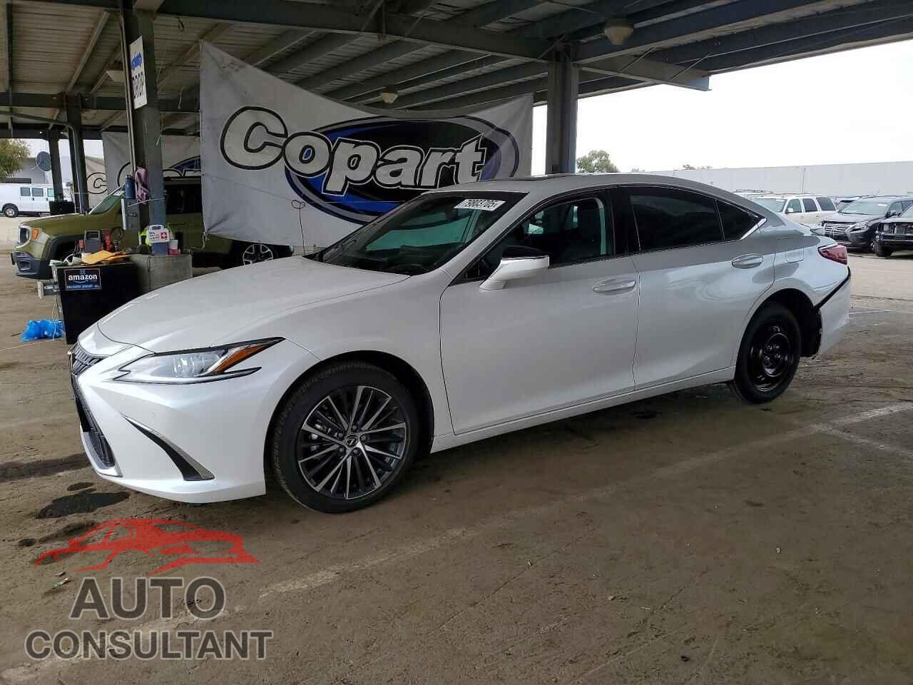 LEXUS ES300 2024 - 58ADA1C19RU049121