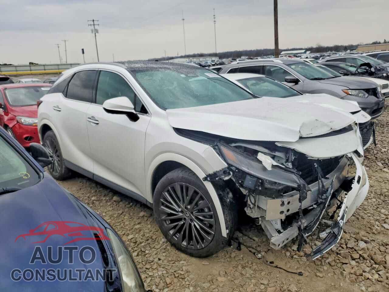LEXUS RX 350H 2024 - 2T2BBMCA2RC043848