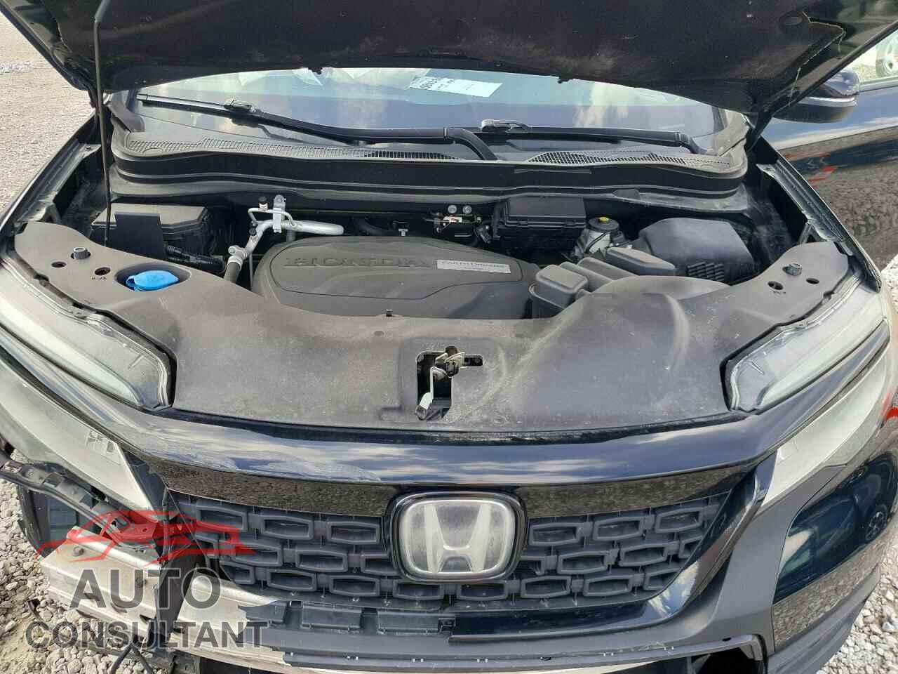 HONDA PASSPORT 2019 - 5FNYF7H97KB004936