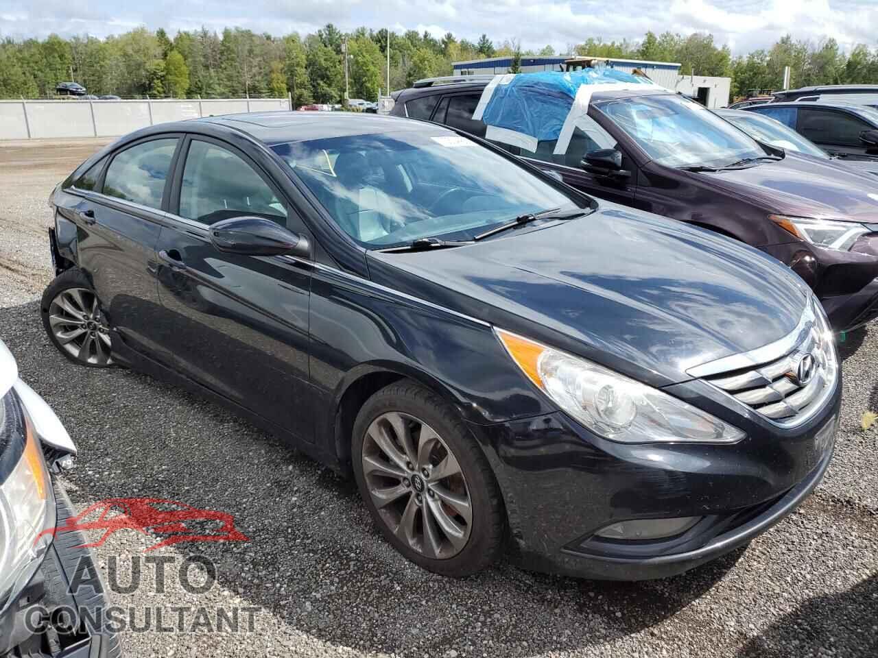 HYUNDAI SONATA 2013 - 5NPEC4AC0DH628792