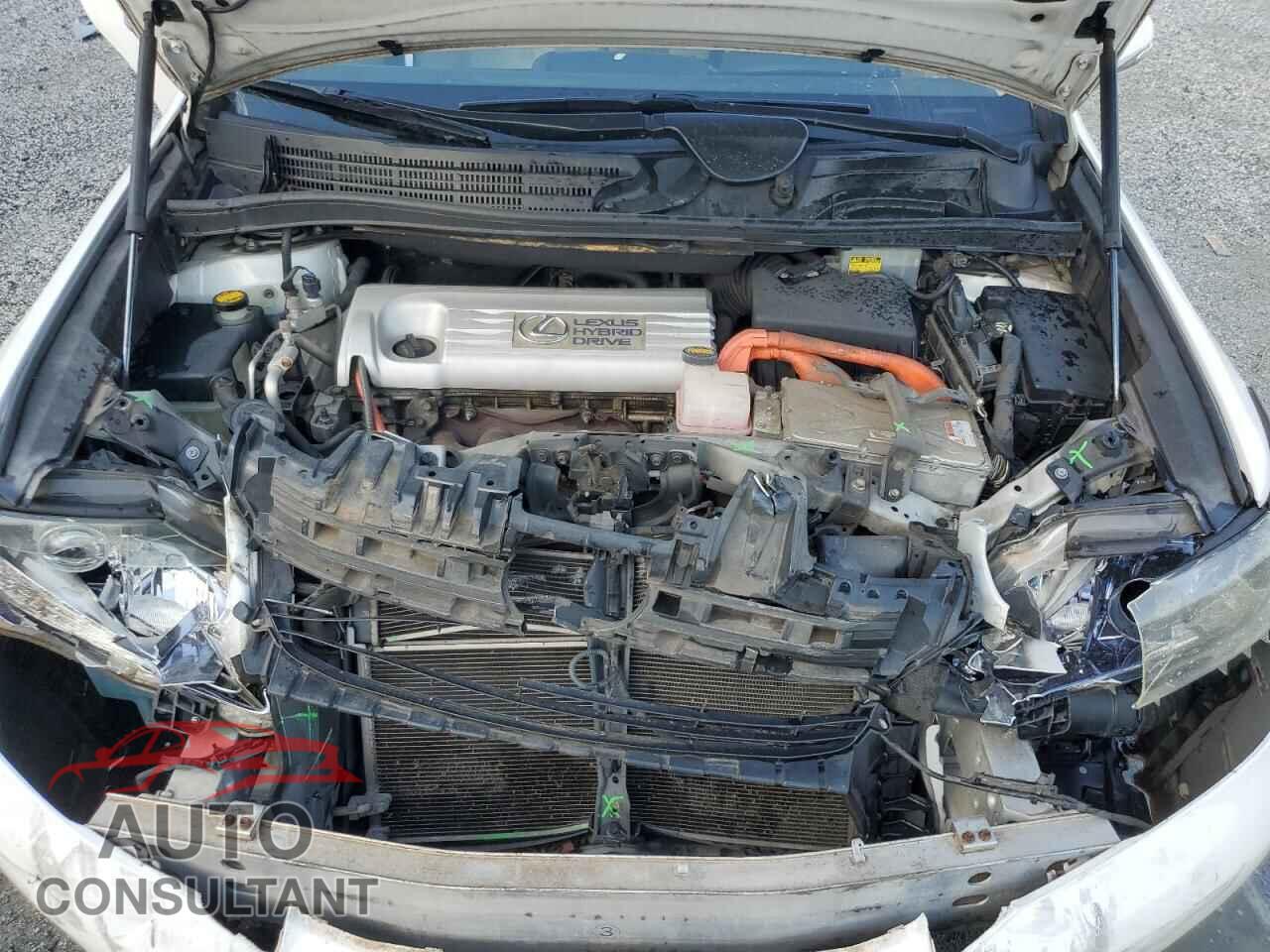 LEXUS HS 2010 - JTHBB1BA1A2006439