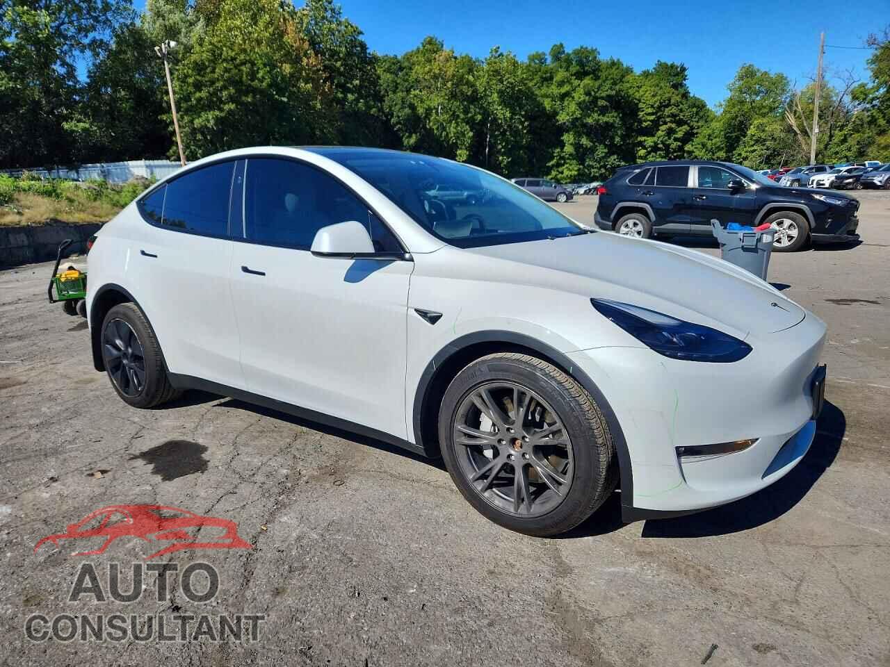 TESLA MODEL Y 2024 - 7SAYGDEE1RF202731
