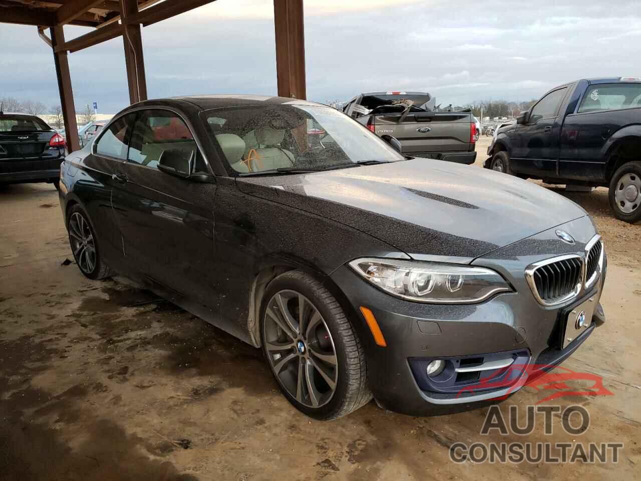 BMW 2 SERIES 2016 - WBA1F9C52GV546047