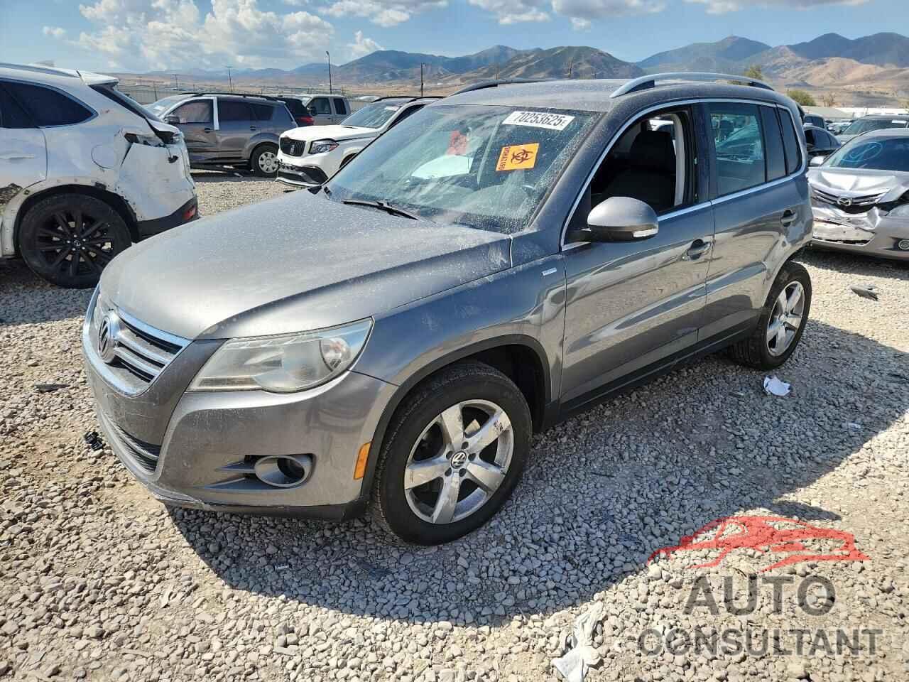 VOLKSWAGEN TIGUAN 2010 - WVGAV7AX8AW533430