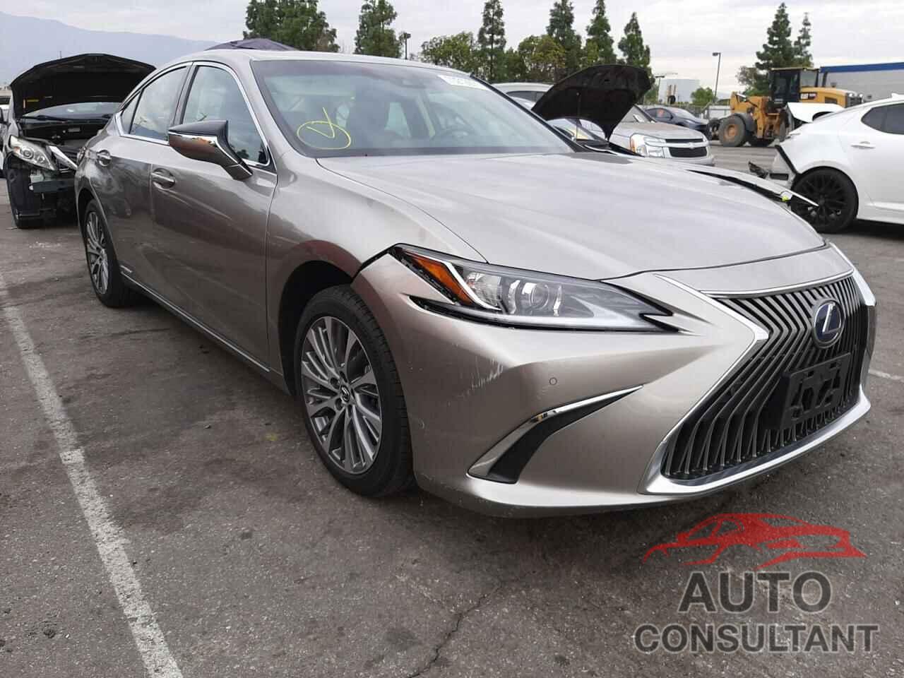 LEXUS ES300 2020 - 58AD21B12LU006293