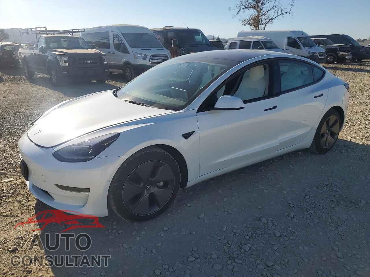 TESLA MODEL 3 2021 - 5YJ3E1EA9MF098734
