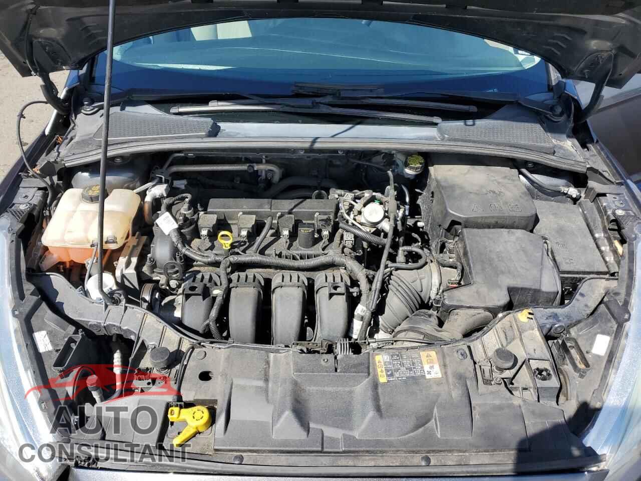 FORD FOCUS 2016 - 1FADP3K23GL393679