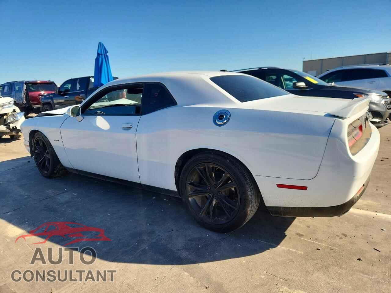 DODGE CHALLENGER 2019 - 2C3CDZBT7KH641937