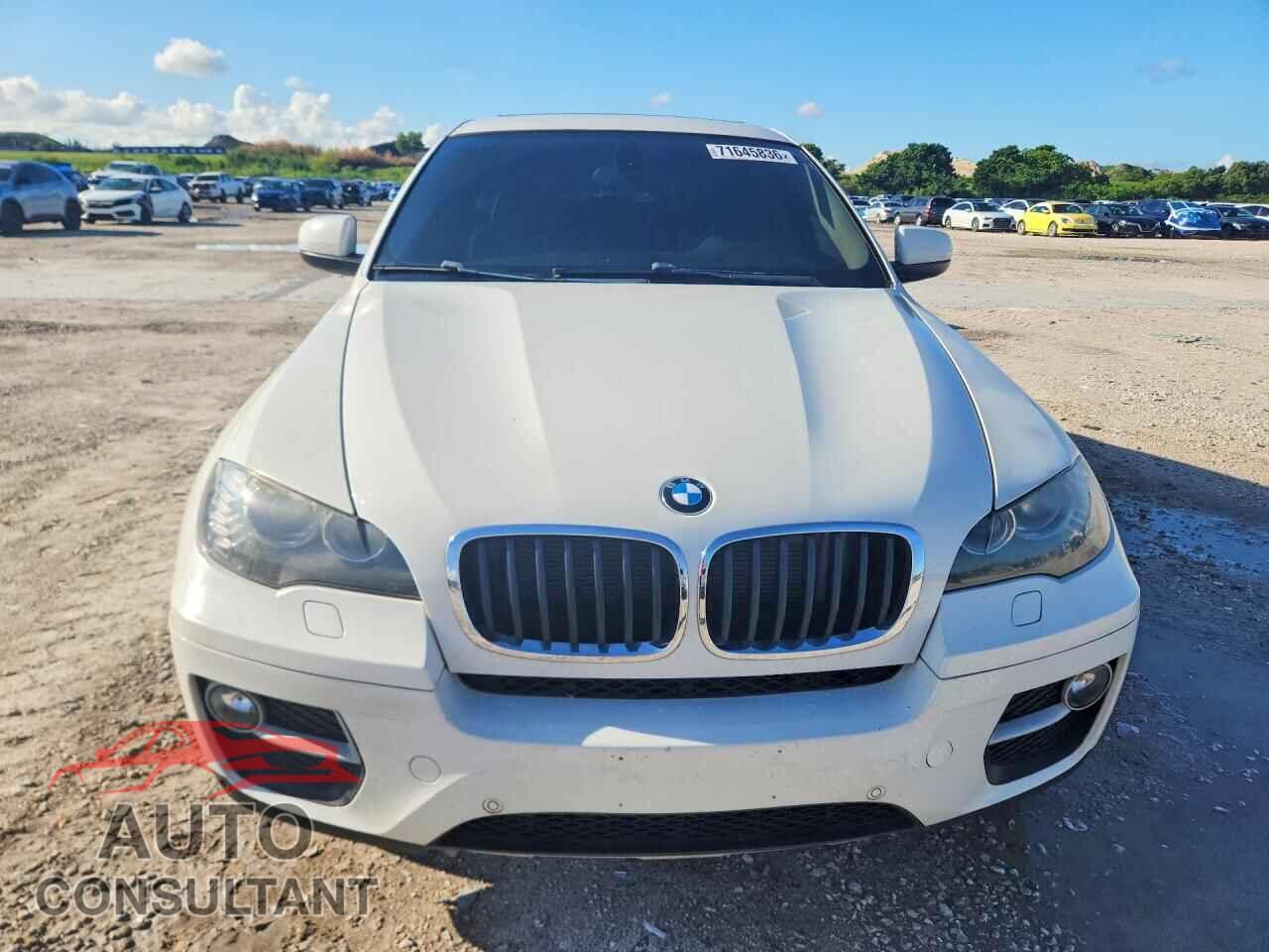 BMW X6 2014 - 5UXFG2C53E0H10320