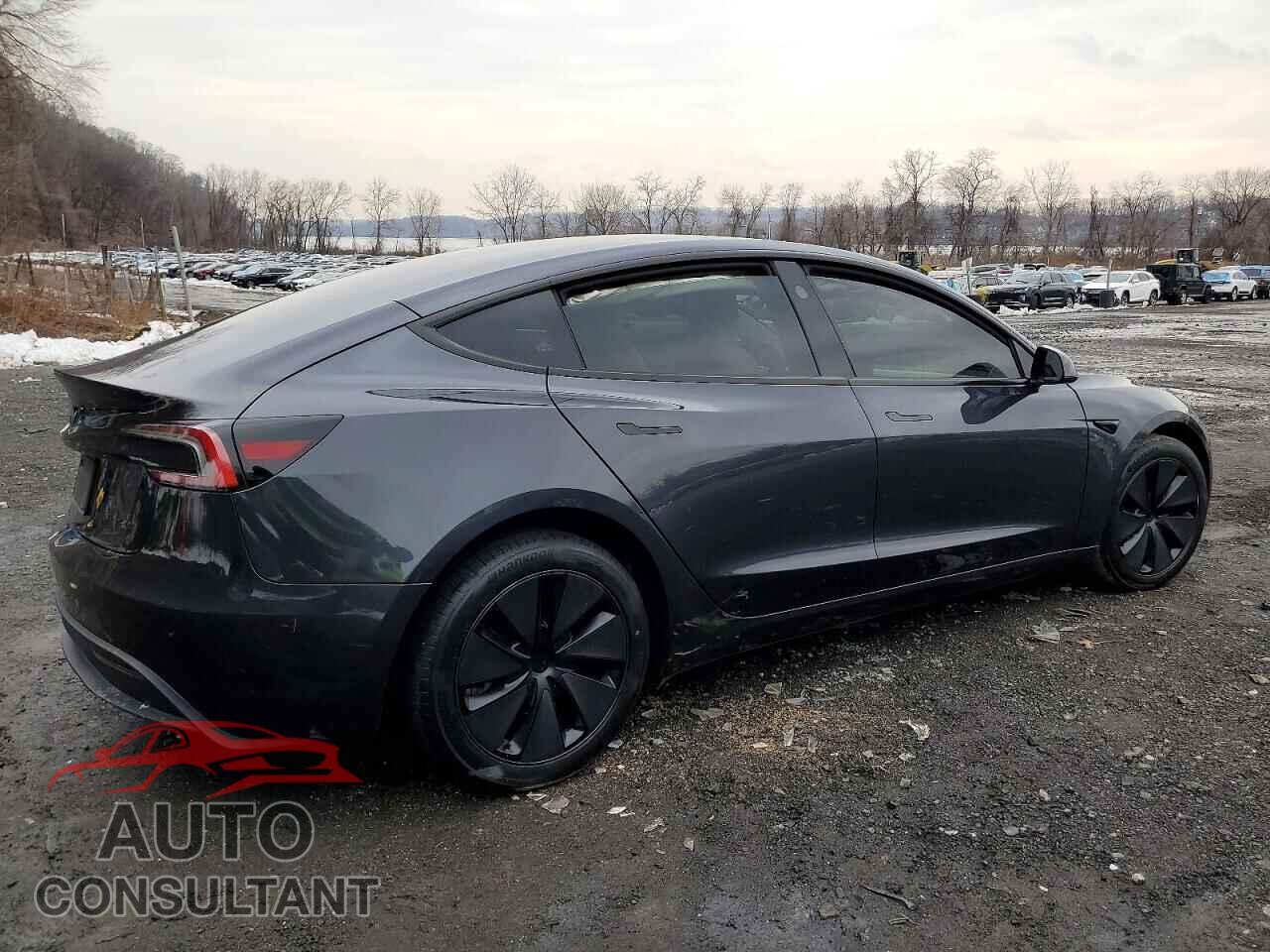 TESLA MODEL 3 2024 - 5YJ3E1EB8RF822025