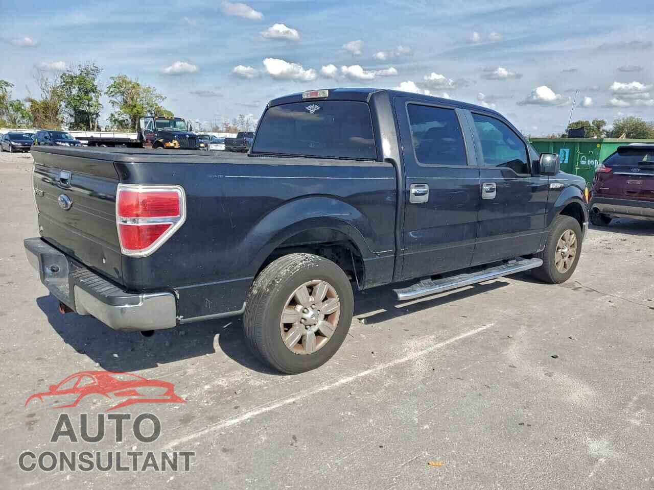 FORD F-150 2010 - 1FTEW1C86AFD62800