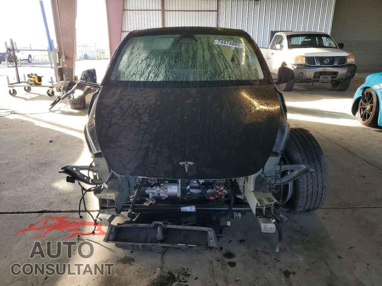 TESLA MODEL Y 2024 - 7SAYGAEE8RF067066