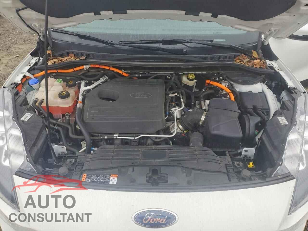 FORD ESCAPE 2020 - 1FMCU9DZ8LUA62818