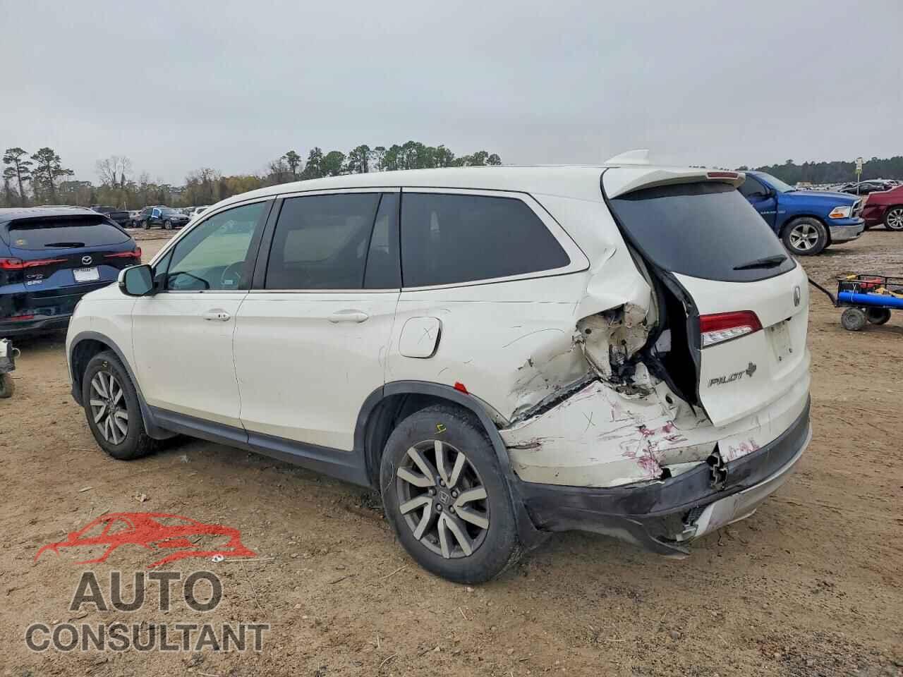 HONDA PILOT 2019 - 5FNYF5H54KB032291