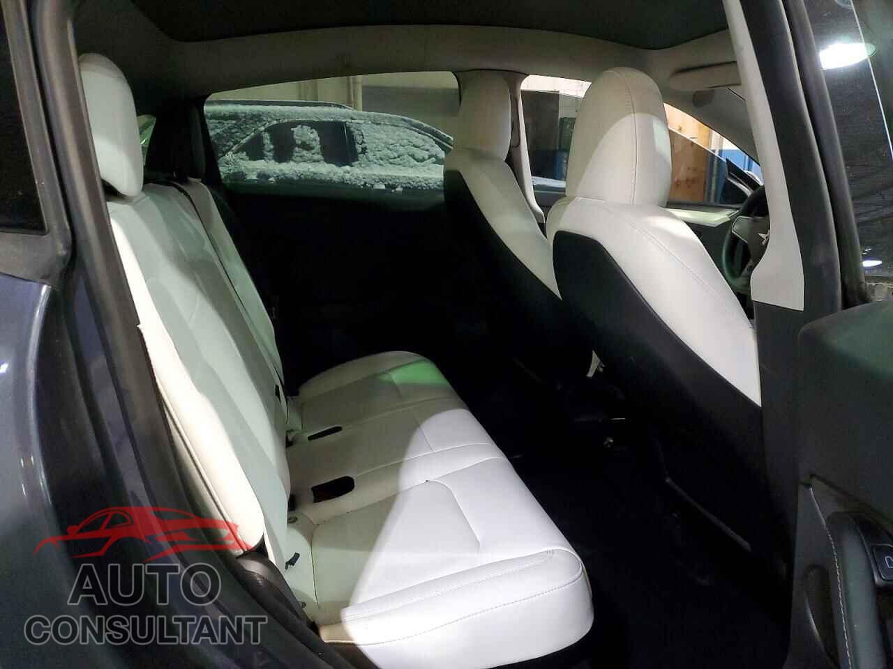 TESLA MODEL Y 2023 - 7SAYGDEEXPF809384