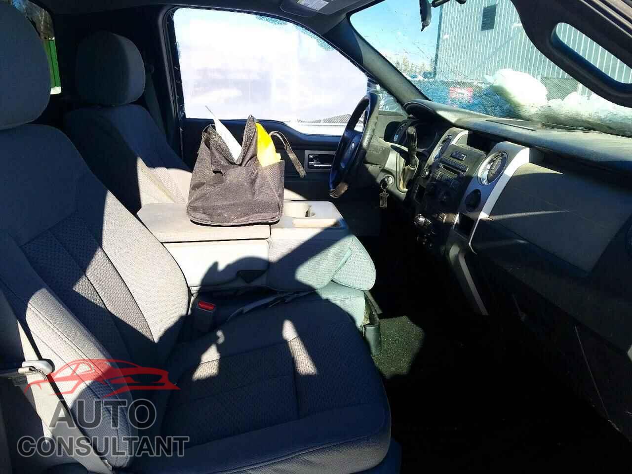 FORD F150 2011 - 1FTMF1EF1BKD61375