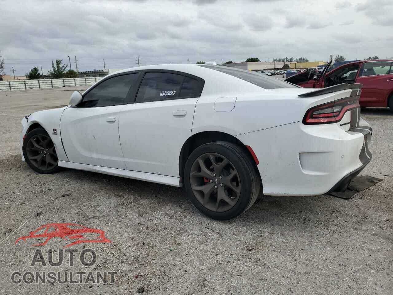 DODGE CHARGER 2019 - 2C3CDXCTXKH749343