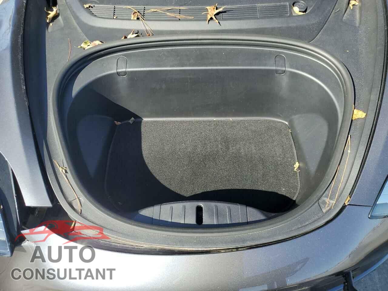 TESLA MODEL 3 2019 - 5YJ3E1EB0KF209631