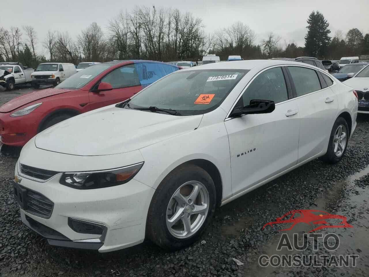 CHEVROLET MALIBU 2018 - 1G1ZB5ST5JF112693
