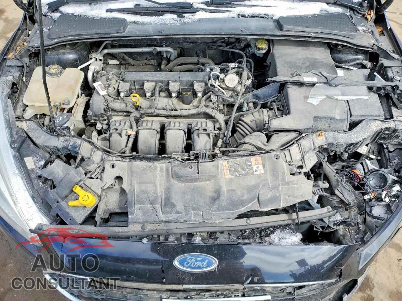 FORD FOCUS 2016 - 1FADP3F25GL390535
