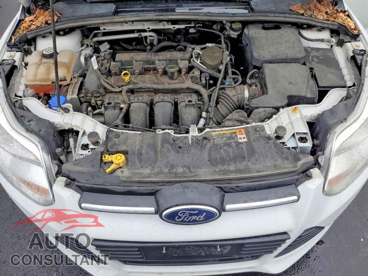 FORD FOCUS 2013 - 1FADP3F2XDL265686
