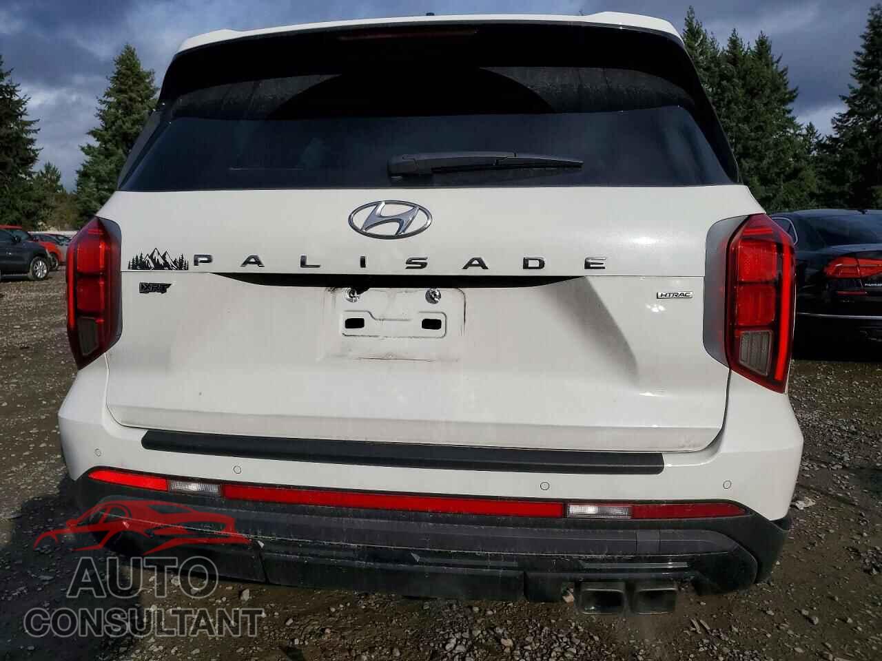 HYUNDAI PALISADE 2023 - KM8R3DGE7PU539656