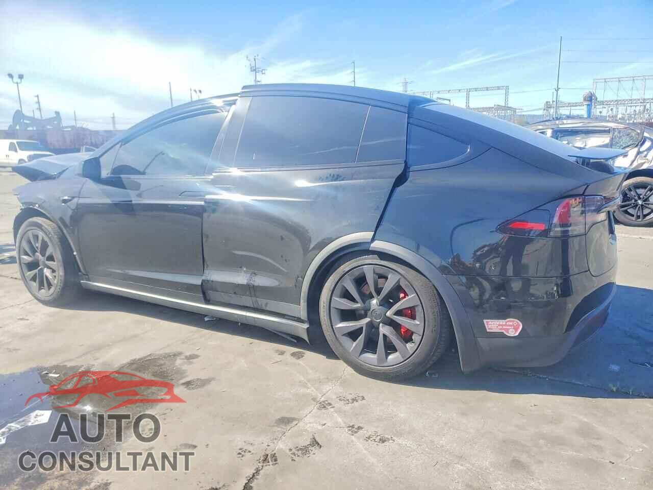 TESLA MODEL X 2024 - 7SAXCBE69RF437446