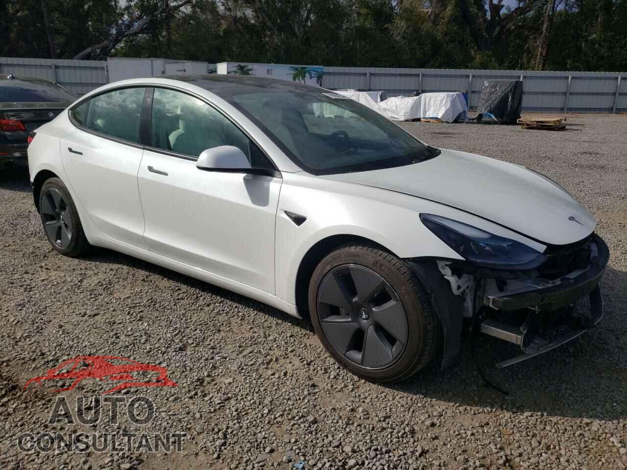 TESLA MODEL 3 2021 - 5YJ3E1EA8MF989601