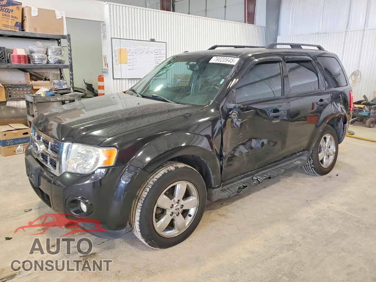 FORD ESCAPE 2011 - 1FMCU9DGXBKB20517