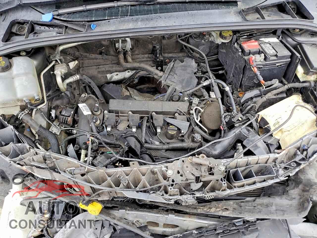 FORD FOCUS 2015 - 1FADP3F23FL372002