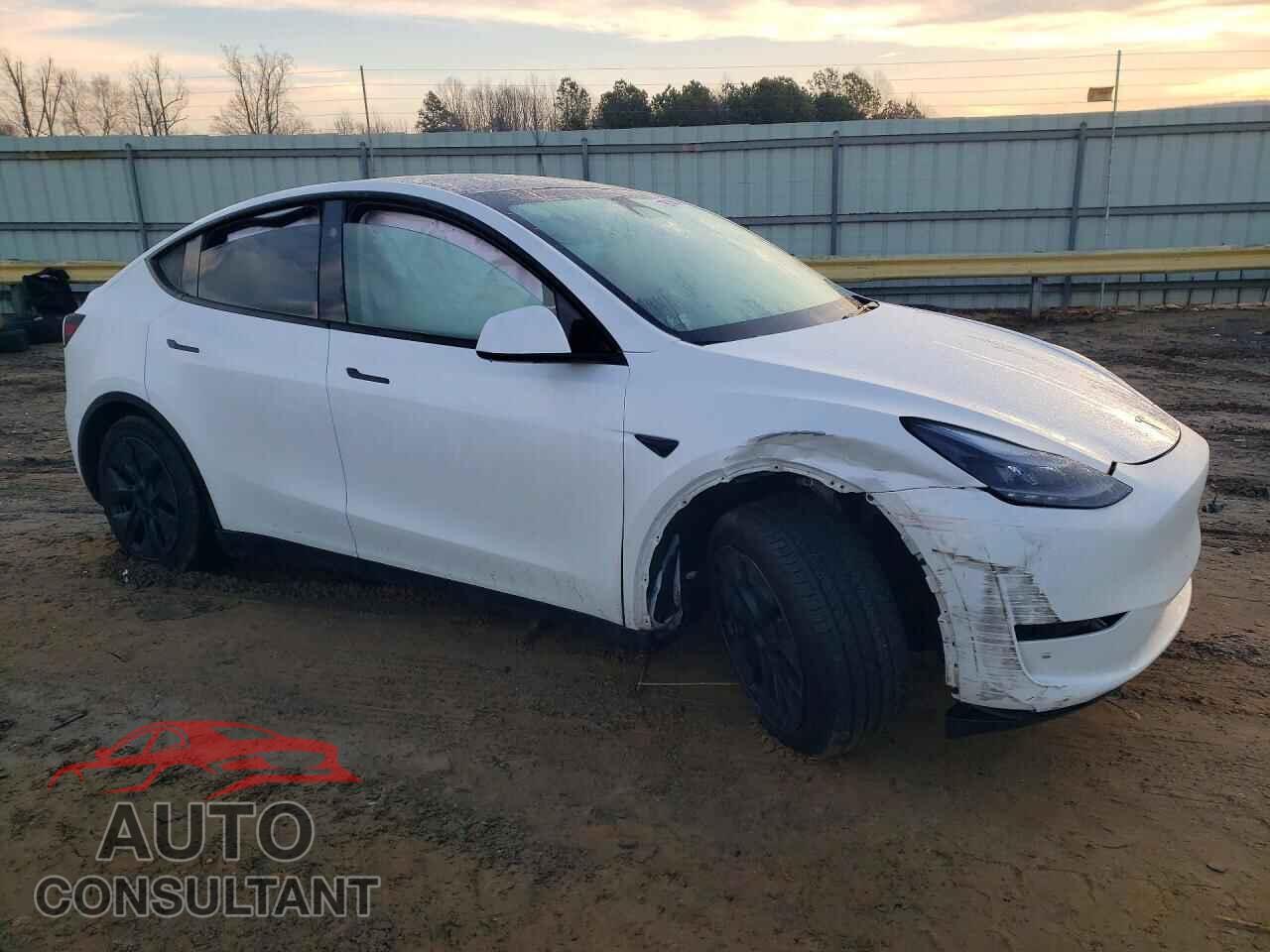 TESLA MODEL Y 2024 - 7SAYGAEEXRF206646