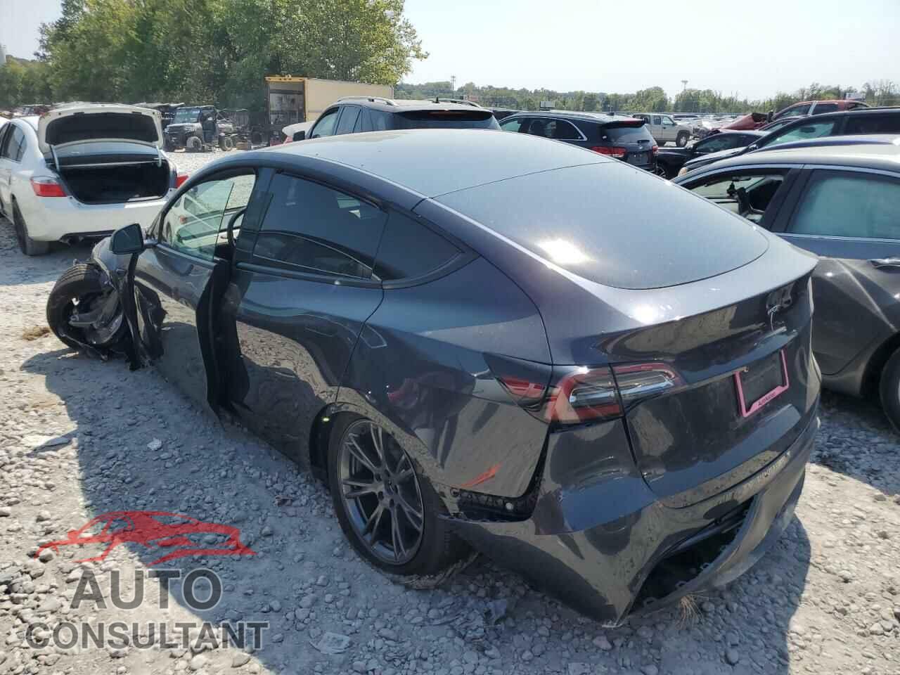 TESLA MODEL Y 2024 - 7SAYGDED3RF114643