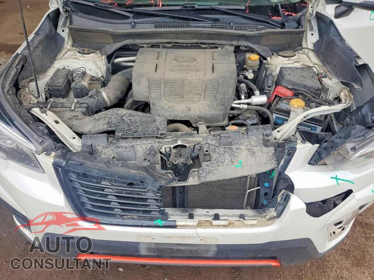 SUBARU FORESTER 2019 - JF2SKAKC7KH575654