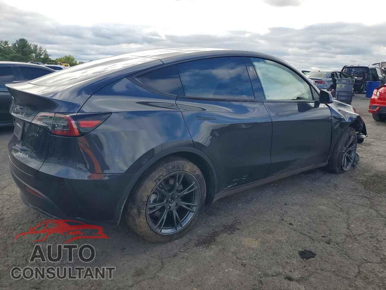 TESLA MODEL Y 2024 - 7SAYGDED6RF206765